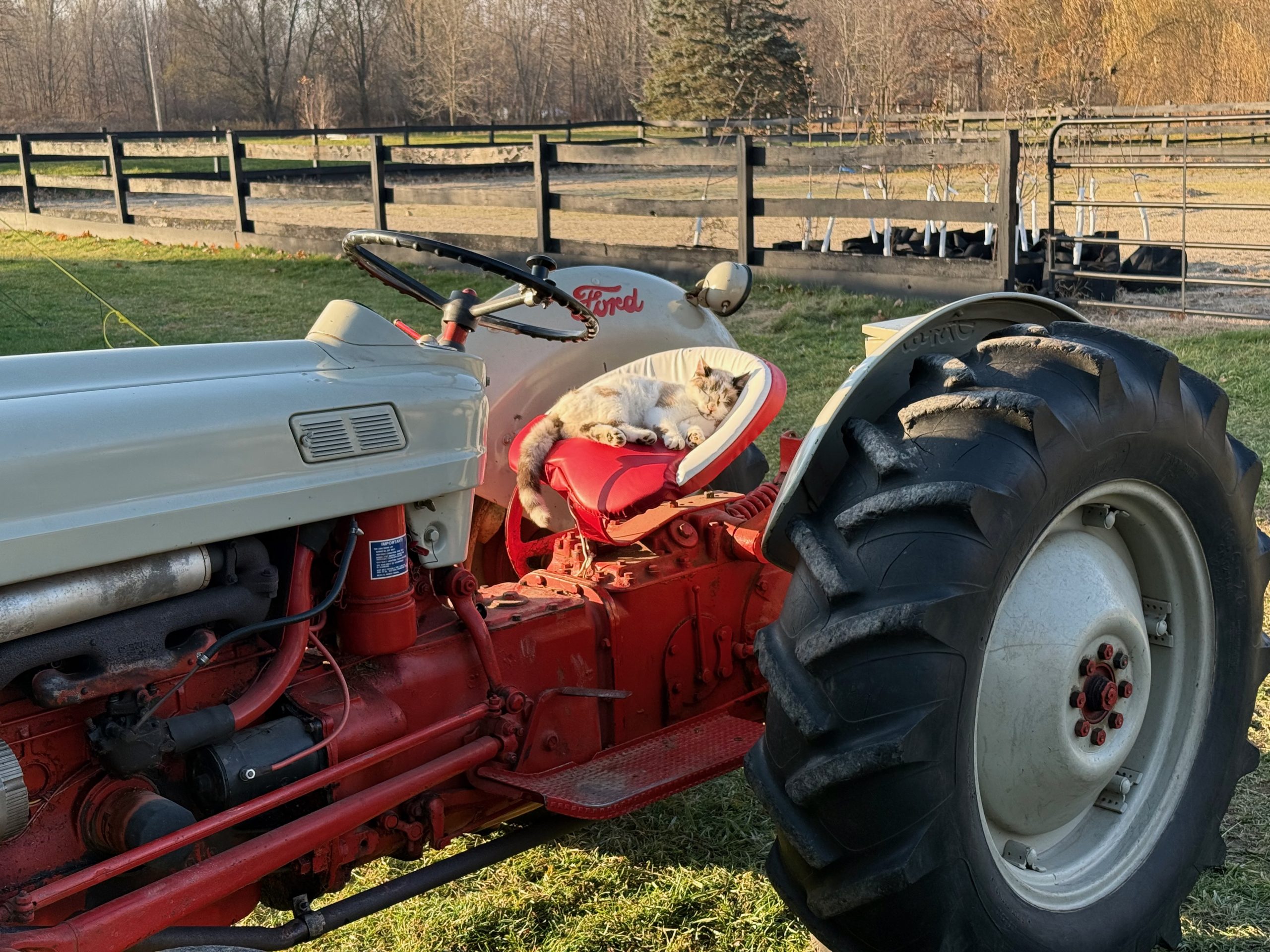 Northern lights over the farm at night
