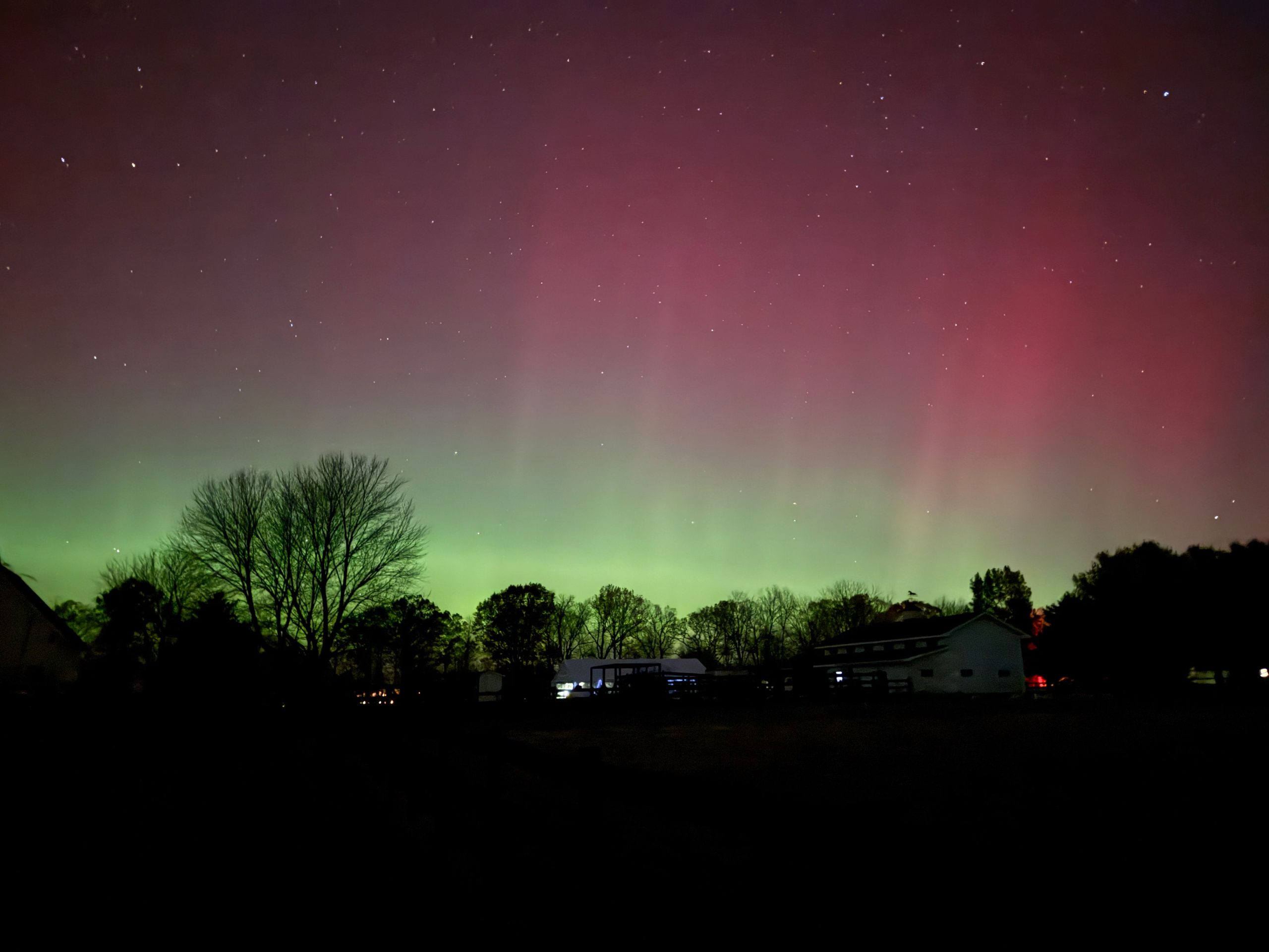 Cat napping on red Ford tractor seat
